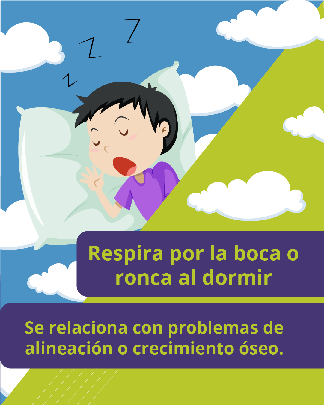 Imagen  5