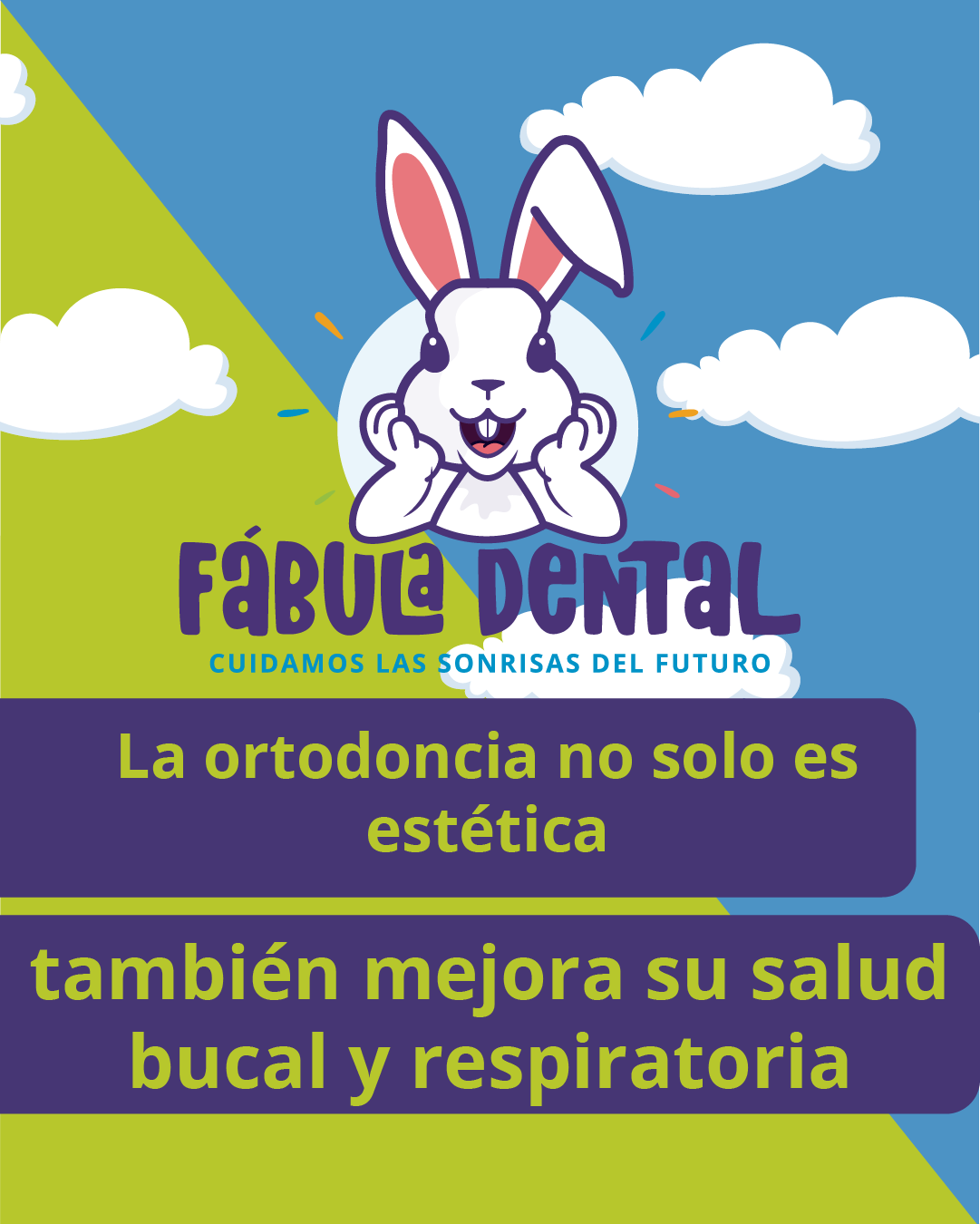 Imagen   6